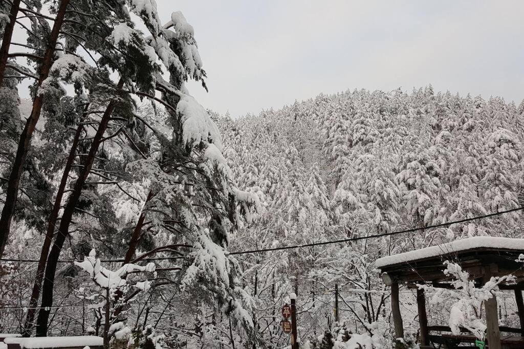 Blue Sky Milky Way Pension Yangyang Exterior foto